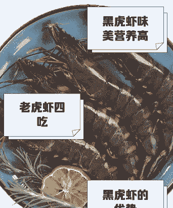 养殖虎皮大虾怎么养殖