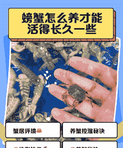 水产养殖大闸蟹怎么养殖