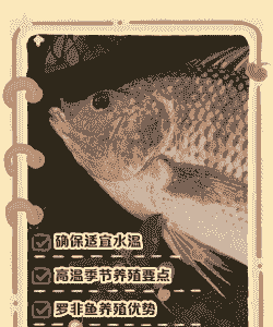 鸡屎养殖罗非鱼怎么养殖