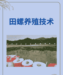 螺蛳养殖幼苗怎么养殖