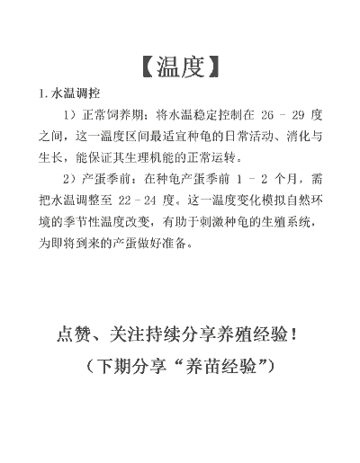 养殖下蛋乌龟怎么养殖