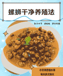 养殖小螺蛳怎么养殖