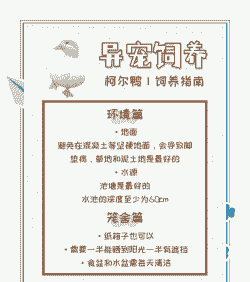 鸭子养殖北方怎么养殖