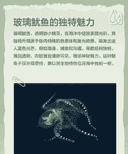 养殖玻璃鱿鱼怎么养殖