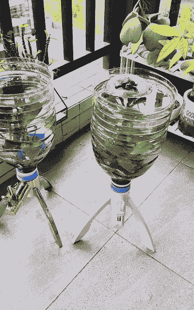 塑料养殖桶怎么养殖