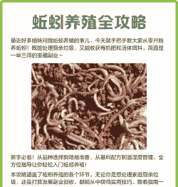 新手养殖地龙怎么养殖