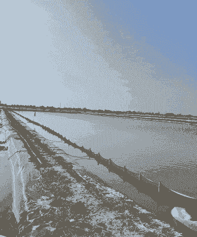 鱼池养殖大闸蟹怎么养殖