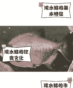 家庭养殖鲳鱼怎么养殖