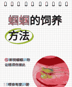 野外养殖蝈蝈怎么养殖