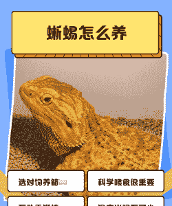 牧场养殖蜥蜴怎么养殖