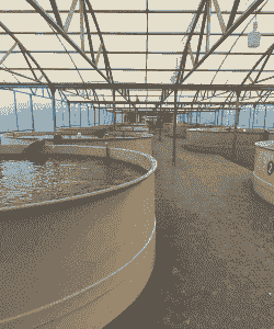 新型养殖鱼虾怎么养殖