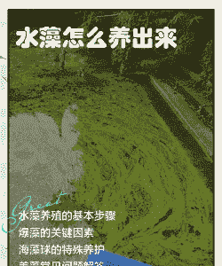 淡水养殖绿藻怎么养殖