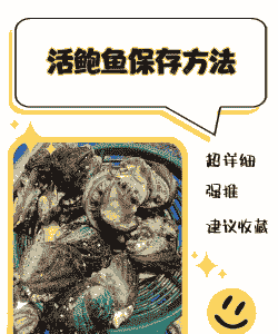 深水养殖鲍鱼怎么养殖