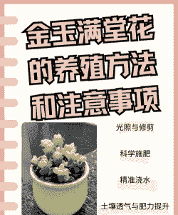 散光养殖怎么养殖好