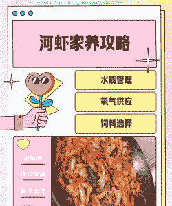 室内养殖河虾怎么养殖