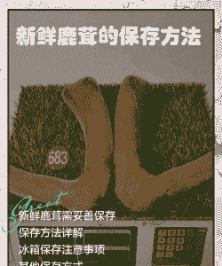 养殖鹿茸怎么养殖方法