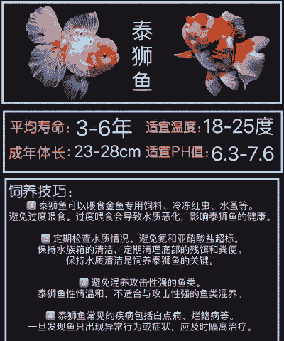 商业养殖金鱼怎么养殖