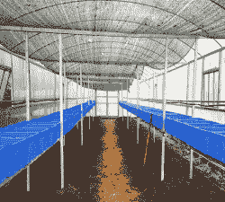 养殖蚯蚓大棚怎么建设