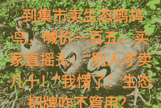 鹧鸪养殖怎么养殖方法