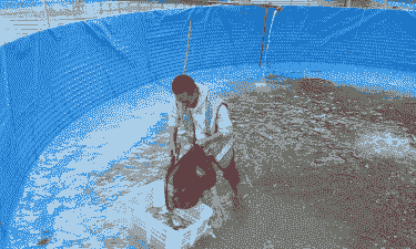 箱子养殖鱼虾怎么养殖