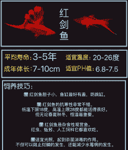 淡水养殖剑鱼怎么养殖