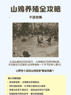 家庭养殖山鸡怎么养殖