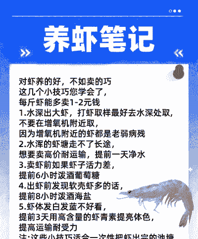 活体养殖小虾怎么养殖