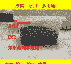 养殖箱怎么养殖蚯蚓