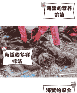 水缸养殖海蜇怎么养殖