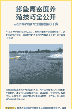 生态养殖鲫鱼怎么养殖