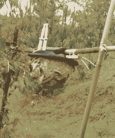 蜂蛹人工养殖怎么养殖