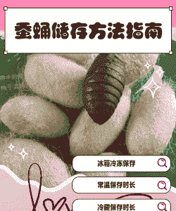 人工养殖蚕蛹怎么养殖