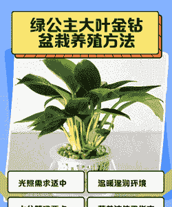 植物养殖创业怎么样