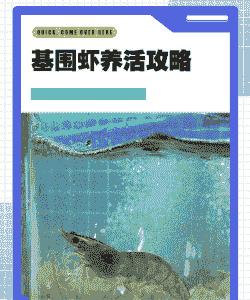 养基围虾怎么养殖