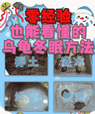 乌龟养殖场怎么冬眠