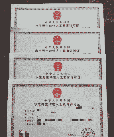 怎么办陆龟养殖证