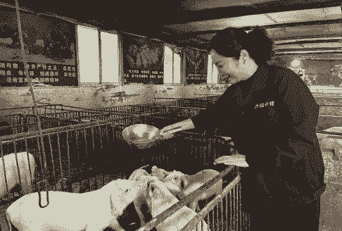 在养殖场工作怎么样