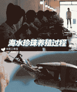 淡水珍珠怎么养殖