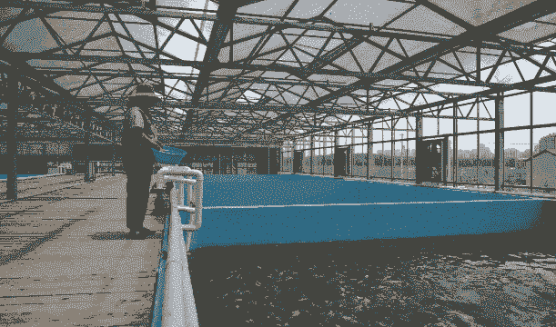 养殖行业怎么样