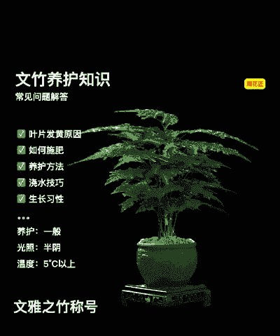 文竹室内怎么养殖