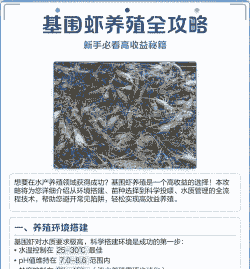 怎么养殖基围虾