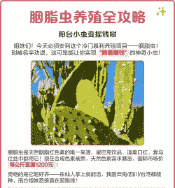 胭脂虫怎么养殖