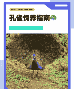 孔雀养殖怎么样