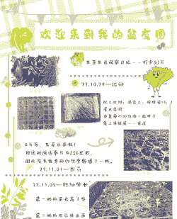 生菜怎么种植容易发芽