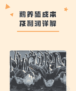 鹅养殖的利润怎么样