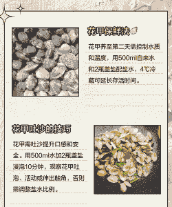 怎么人工孵小鸡