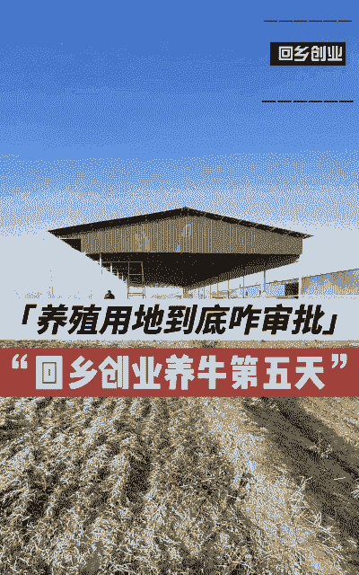 养殖用地怎么批