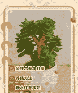 金钱掌怎么养殖