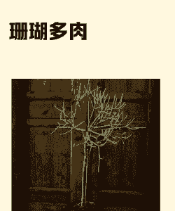 新希望饲料怎么样