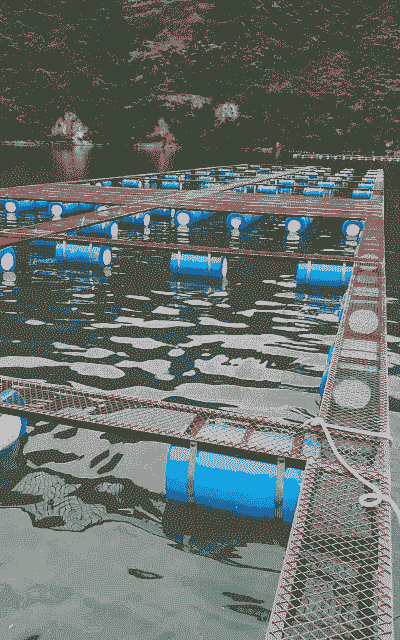 网箱养殖怎么样